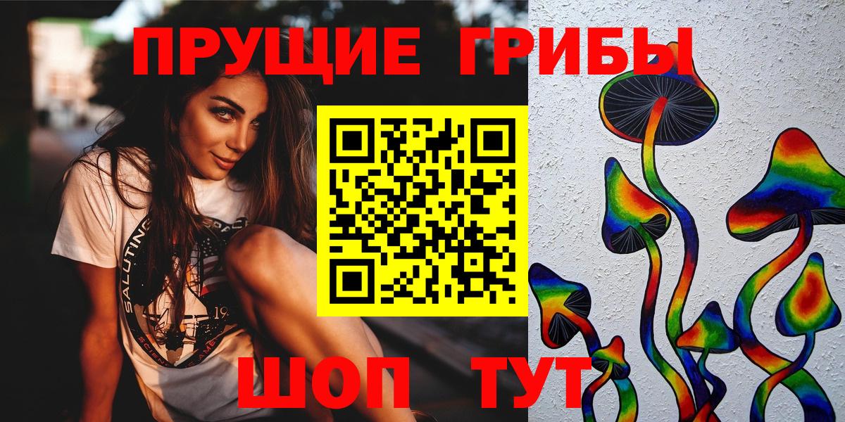Псилоцибиновые грибы Psilocybe  Вход с VPN  Касимов  Псилоцибиновые грибы GOLDEN TEACHER 