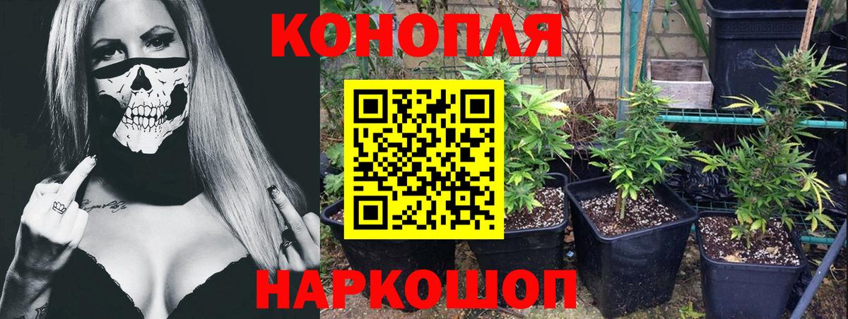 Канабис Bruce Banner  Вход с VPN  Касимов  Бошки Шишки White Widow 